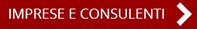 sezione consulenti